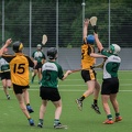 Hamburg Hurling-12