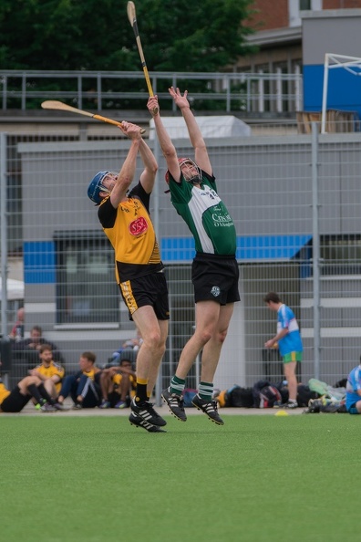 Hamburg Hurling-20