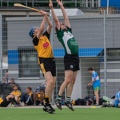 Hamburg Hurling-20