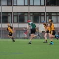 Hamburg Hurling-21