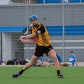 Hamburg Hurling-22