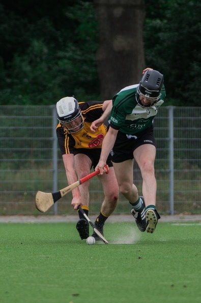 Hamburg_Hurling-23.jpg