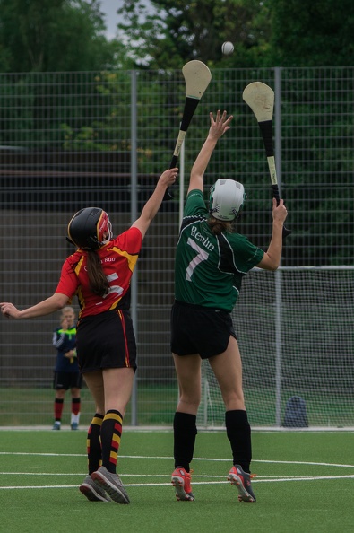 Hamburg_Hurling-28.jpg