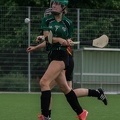 Hamburg Hurling-29