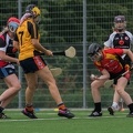 Hamburg Hurling-30