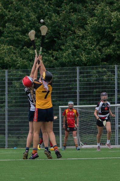 Hamburg_Hurling-31.jpg