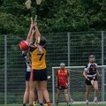 Hamburg Hurling-31