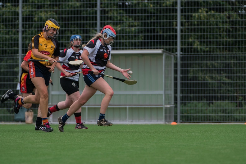 Hamburg_Hurling-33.jpg