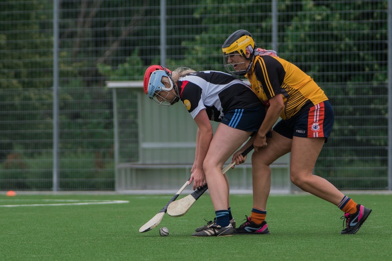 Hamburg Hurling-34