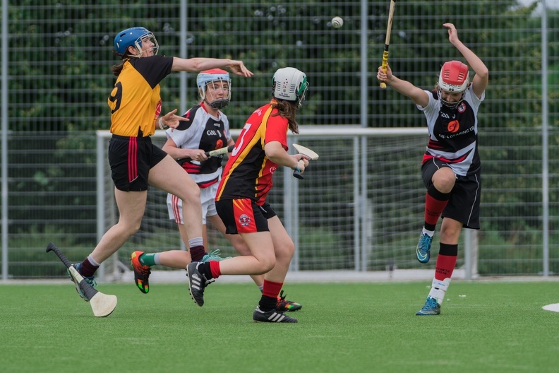 Hamburg_Hurling-41.jpg