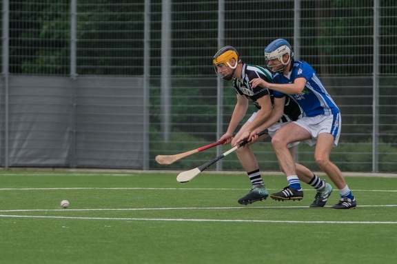 Hamburg Hurling-58