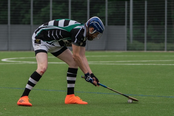 Hamburg Hurling-73