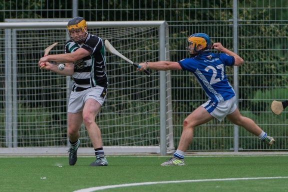 Hamburg Hurling-74