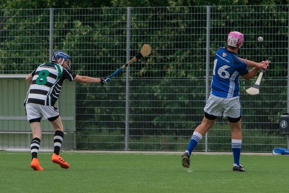 Hamburg Hurling-80