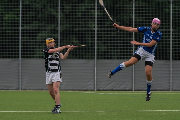 Hamburg Hurling-82