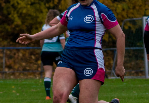 Rugby2018-11