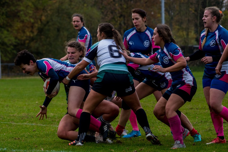 Rugby2018-15 - Rugby2018-15.jpg Rugby2018-15.jpg