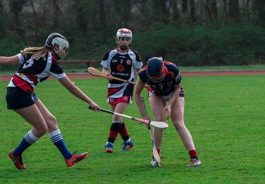 CHC-SRB-2019-Hamburg-39